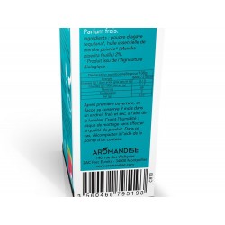 CRISTAUX D'HUILES ESSENTIELLES MENTHE - AROMANDISE 