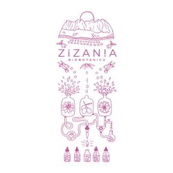 Intensives Öl-Serum, Flower Skin Power - 30ml - Zizan!a