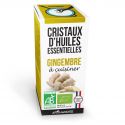 Bio-Ätherisches Öl Kristalle für das Kochen, Ingwer - 10g - Aromandise