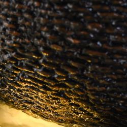 Fontaine à eau - "Moderna Andy" au design épuré de style contemporain  - Zen'Light