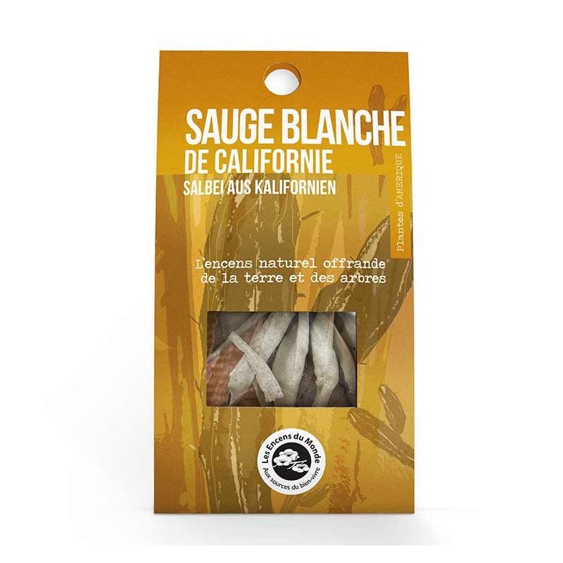 Salvia bianca della California - 2 rami - Les encens du monde
