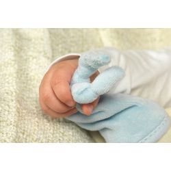 Großohr-Kuscheltier für Kinder -   Blau, Toddel Kornblume - Keptin-Jr.