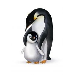 Culottes d'apprentissage pour bébés, Suisses & Écologiques - Taille MOD, MOD (0-0kg) - 30 pces - Pingo