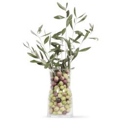 OLIVIE PowerUp, Perle miracolose di olivo del deserto, ricche di antiossidanti e resveratrolo - 340g - Olivie