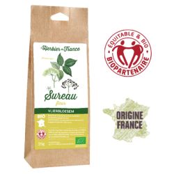 Fleurs de Sureau BIO et équitable de France - 25g - L'Herbier de France
