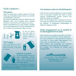 Thé glacé, Thé vert & Menthe - 10 sachets - Aromandise