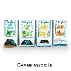 Tè freddo, tè verde e menta - 10 bustine - Aromandise