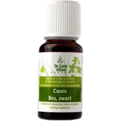 Macérat glycériné BIO de bourgeon de Cassis - 30ml - Saint-Hilaire