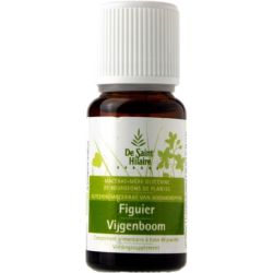 Feigenbaum Knospe Bio Mazerat - 30ml - Saint-Hilaire