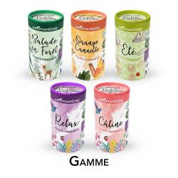 Palets fondants aux huiles essentielles, Orange-Cannelle - 6 palets (4 utilisations par palets) - Aromandise