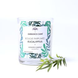 Candela ad olio Cade, parfum Eucalipto - 400g, circa 45h - Ambiance Cade