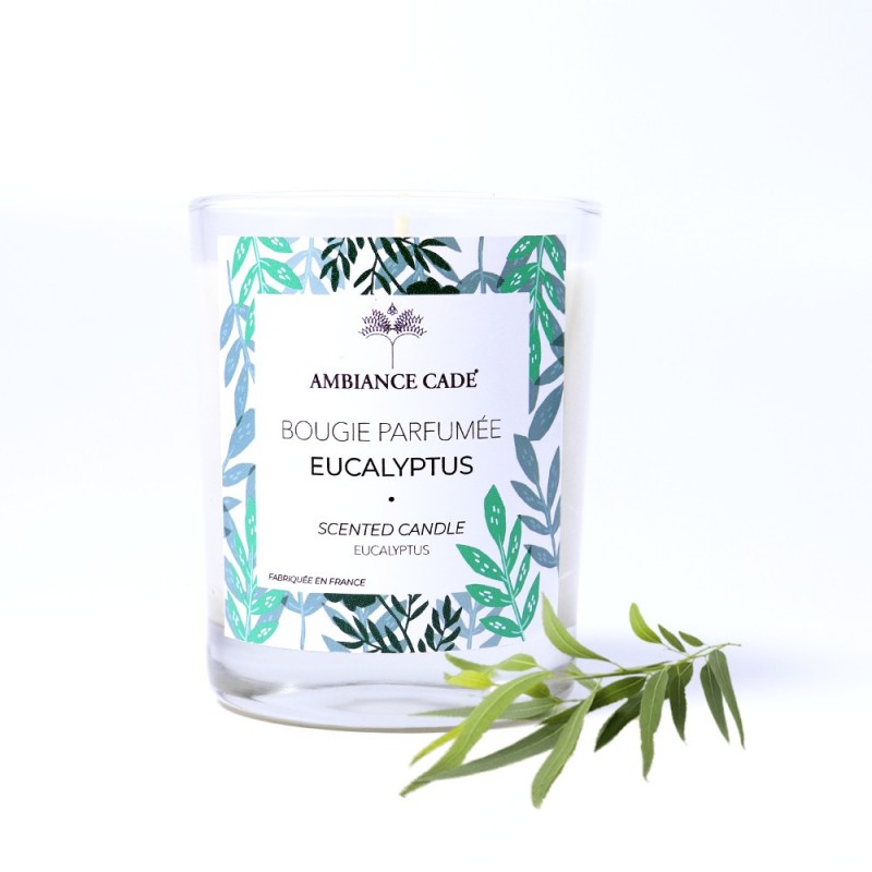 Bougie végétale à l'huile de cade, parfum Eucalyptus - 400g, env. 45h - Ambiance Cade