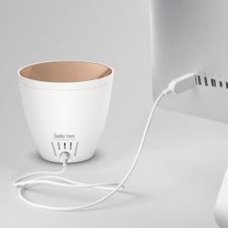 Diffusore di oli essenziali a ultrasuoni, Zoe nero - Luce ambra - Stadler Form