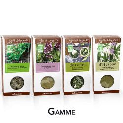 Poudre d'Hysope - Aromate d'antan, frais et fleuri - 25g - Hildegarde de Bingen