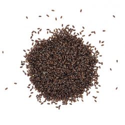 Brauner Flohsamen aus der Provence BIO (Samen) - 100g - Hildegarde de Bingen