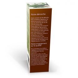 Poudre d'Hysope BIO - Aromate d'antan, frais et fleuri - 25g - Hildegarde de Bingen