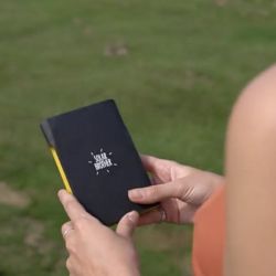 Hochleistungs-Solarladegerät - Robust, faltbar & wasserdicht - SUNMOOVE 6,5W - Brother Solar