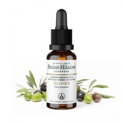 Bio-Olivenknospen-Mazerat - 30ml - Saint-Hilaire