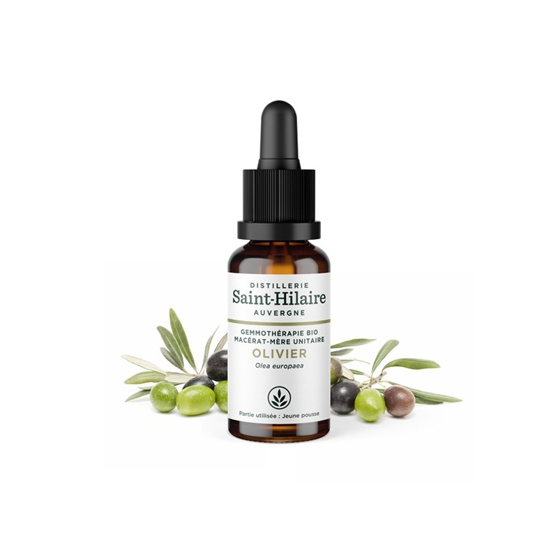 Macerato di germogli d'oliva biologico - 30ml - Saint-Hilaire