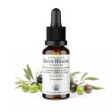 Bio-Olivenknospen-Mazerat - 30ml - Saint-Hilaire