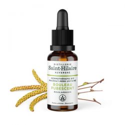 Macerato di germogli di betulla bio (Betula Pubescent) - 30ml - Saint-Hilaire