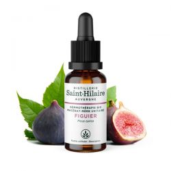Macerato organico di gemme di fico - 30ml - Saint-Hilaire