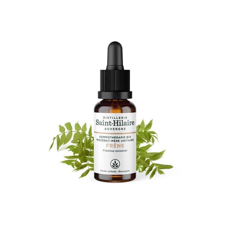 Bio-Escheknospen-Mazerat - 30ml - Saint-Hilaire