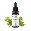 Macérat glycériné BIO de bourgeon de Frêne - 30ml - Saint-Hilaire