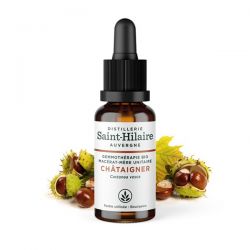 Macerato di germogli di Castagno biologico - 30ml - Saint-Hilaire