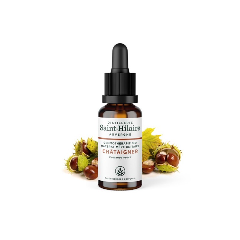 BIO Kastanienbaum Knospen Glyzerinmazerat - 30ml - Saint-Hilaire