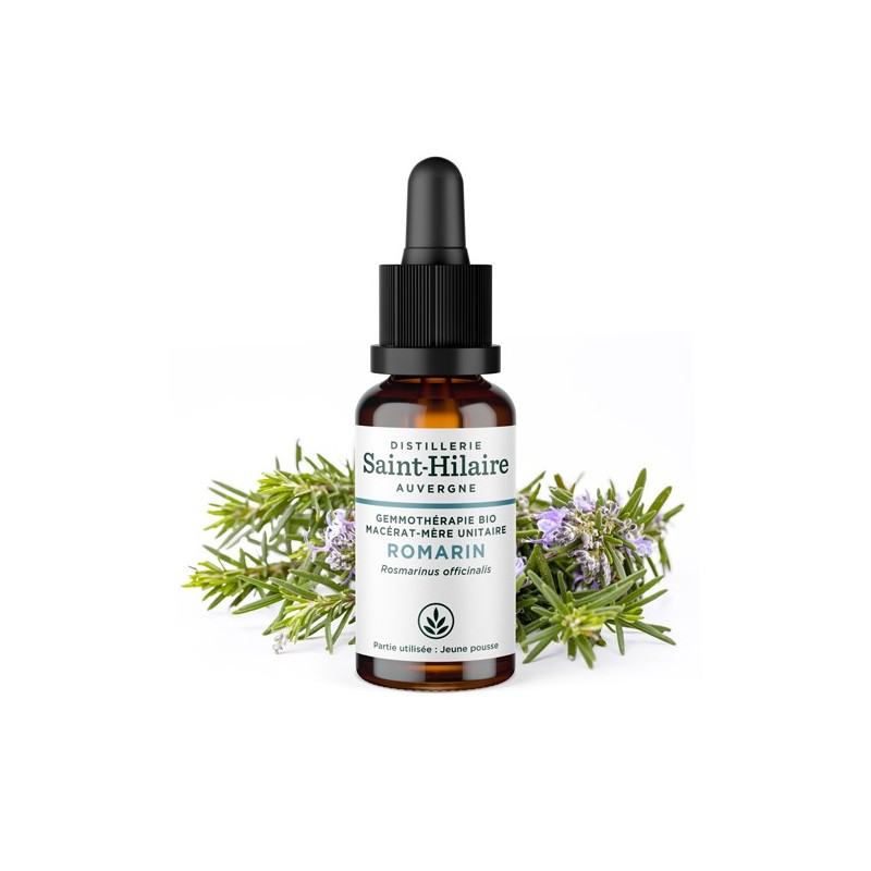 Macerato di glicerolo organico al germoglio di Rosmarino - 30ml - Saint-Hilaire