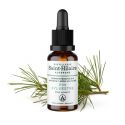 Sylvanische Kiefer Knospen Glyzerinmazerat BIO - 30ml - Saint-Hilaire