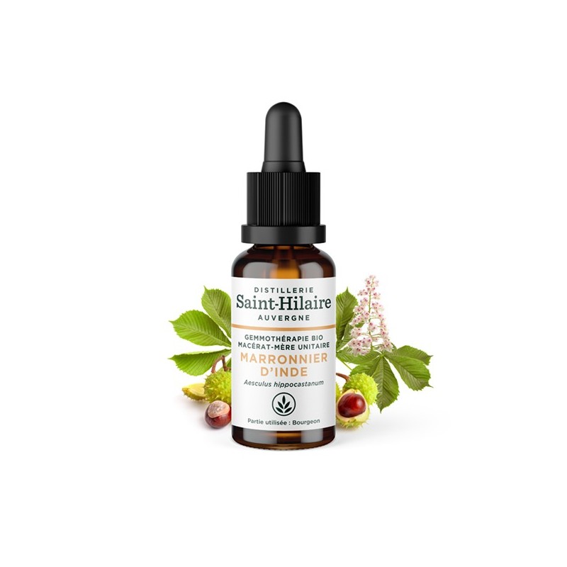 Macérat glycériné BIO de bourgeon de Marronnier - 30ml - Saint-Hilaire