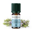 Rosmarin Verbenon ätherisches Öl - 5ml - De Saint Hilaire