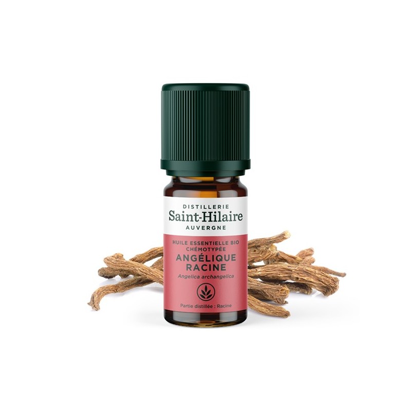 Angelikawurzel ätherisches Öl (Samen) - 5ml - De Saint Hilaire