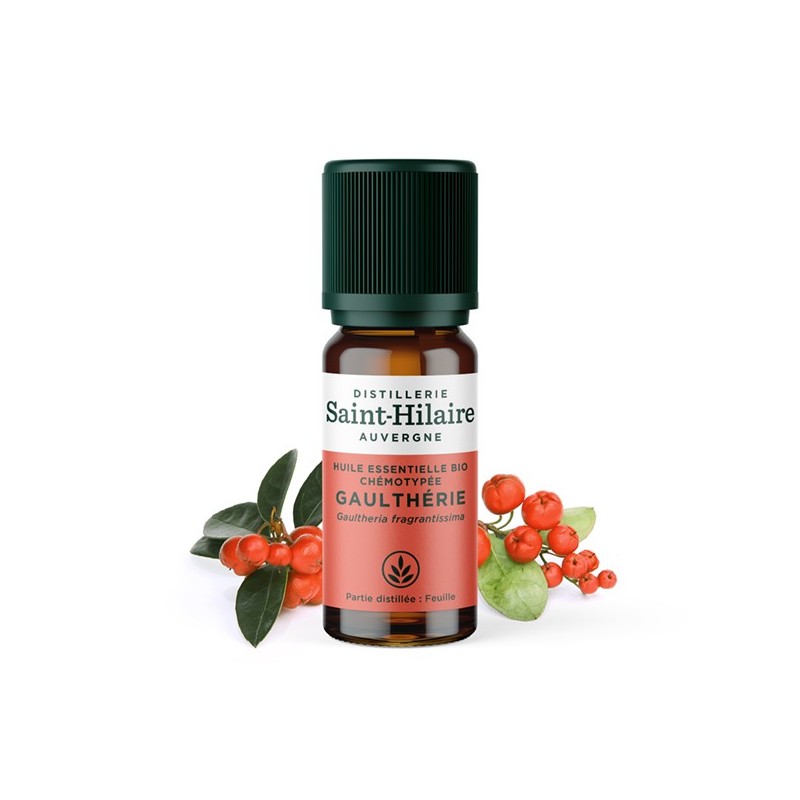 Olio essenziale (Biologico) di Wintergreen - 10ml - De Saint Hilaire