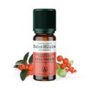 Wintergreen ätherisches Öl - 10ml - De Saint Hilaire