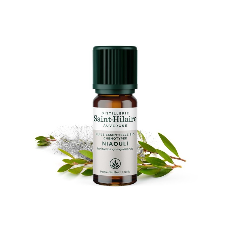 Niaouli ätherisches Öl - 10ml - De Saint Hilaire