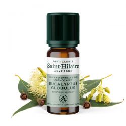 Huile essentielle BIO d'Eucalyptus Globuleux - 10ml - De Saint Hilaire