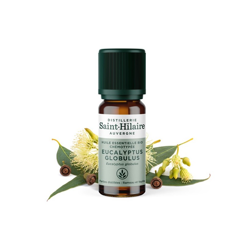 Eukalyptus globulus ätherisches Öl - 10ml - De Saint Hilaire