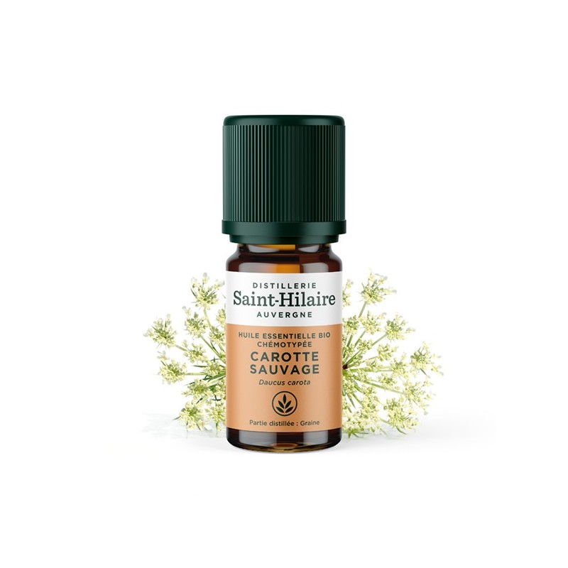 Huile essentielle BIO de Carotte Sauvage - 5ml - De Saint Hilaire