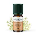 Olio essenziale (Biologico) di carota selvatica - 5ml - De Saint Hilaire