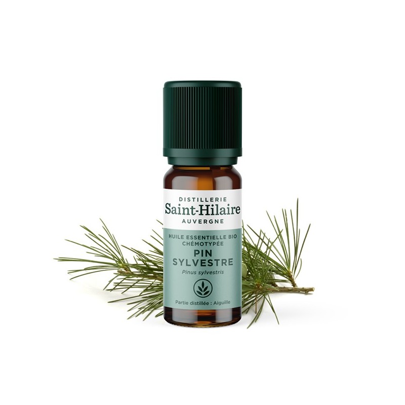 Huile essentielle BIO de Pin Sylvestre - 10ml - De Saint Hilaire