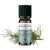 Olio essenziale (Biologico) di pino Sylvestre - 10ml - De Saint Hilaire
