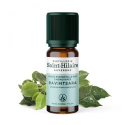Ravintsara ätherisches Öl - 10ml - De Saint Hilaire