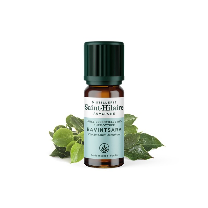 Ravintsara ätherisches Öl - 10ml - De Saint Hilaire