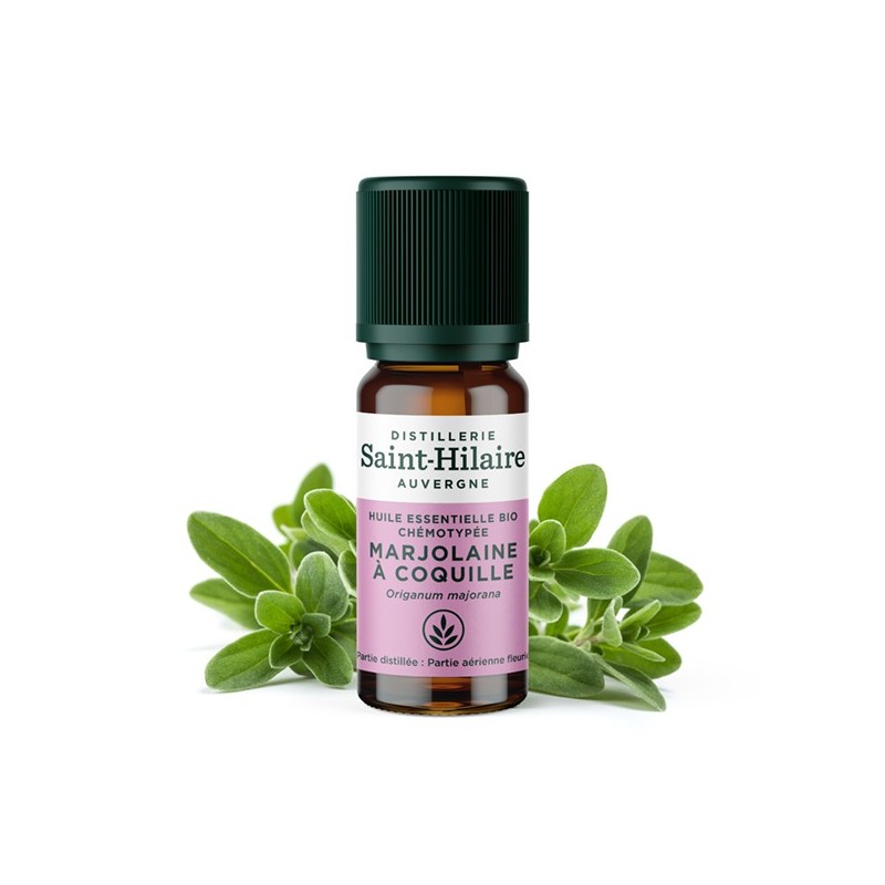 Majoran süß ätherisches Öl - 10ml - De Saint Hilaire
