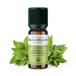 Olio essenziale (Biologico) di basilico tropicale - 10ml - De Saint Hilaire