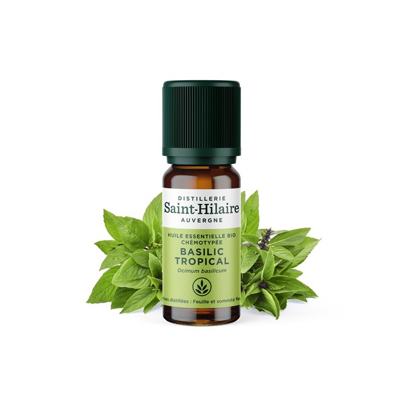 Olio essenziale (Biologico) di basilico tropicale - 10ml - De Saint Hilaire