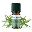 Estragon ätherisches Öl - 5ml - De Saint Hilaire